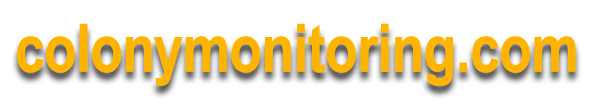 colonymonitoring.com